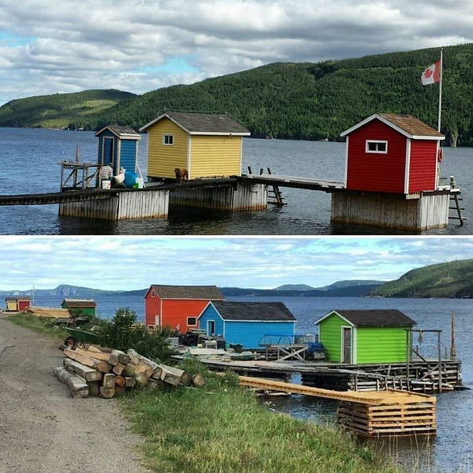 The vibrant stages in Middle Arm, NL