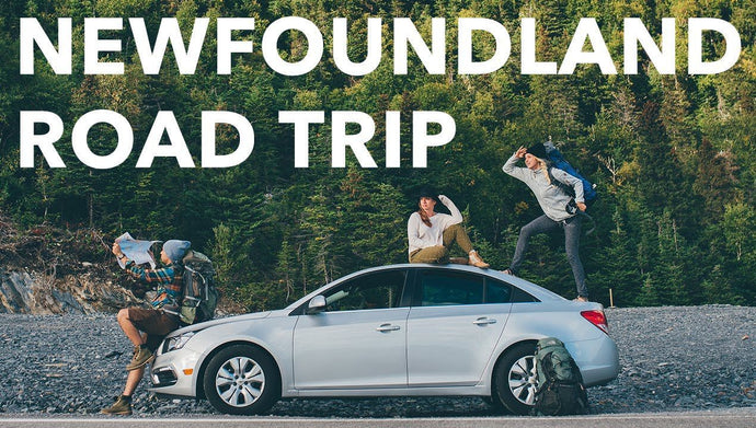 Planning your next vacation? Best Road Trip: Newfoundland, Canada