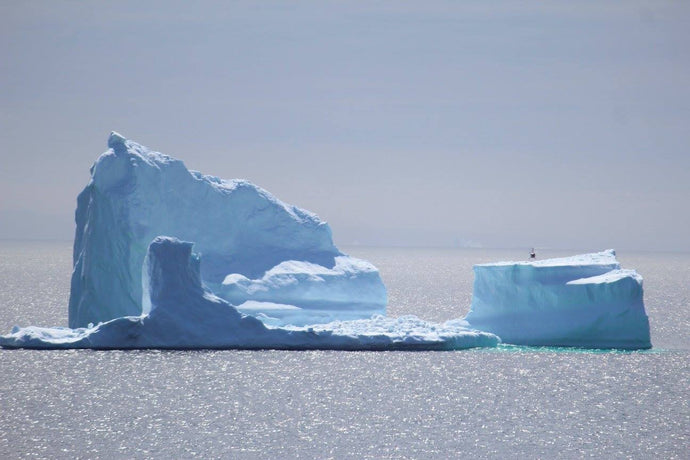 Spectacular Iceberg sighting in Ferryland
