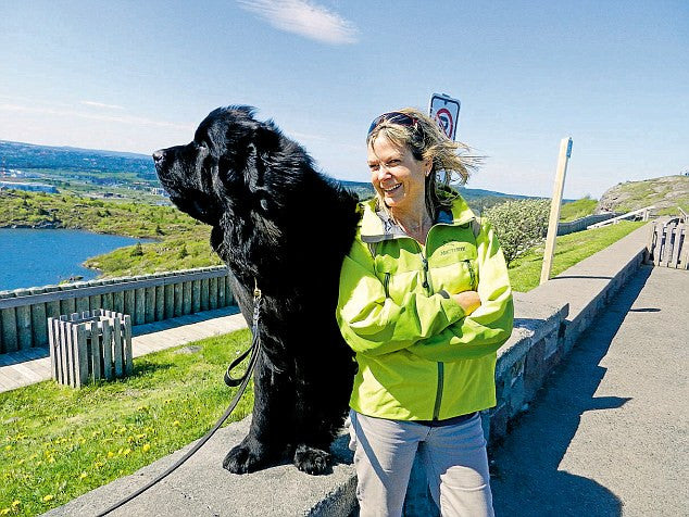 Penny Smith is blown away by Newfoundland’s puffins, moose, icebergs (via Daily Mail)