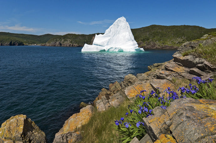 Newfoundland among the 17 Epic Places You Never Thought To Travel, But Should (Via Huffington Post)