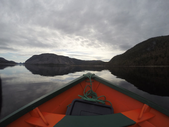 Best way to spend a morning in western Newfoundland #ExploreNL