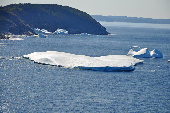 Hunting For Icebergs In Northern Newfoundland (via The Thirsty Tourist)
