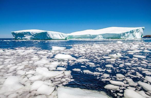 Newfoundland - Top 25 Dream Destinations Around the World (via RoarLoud)