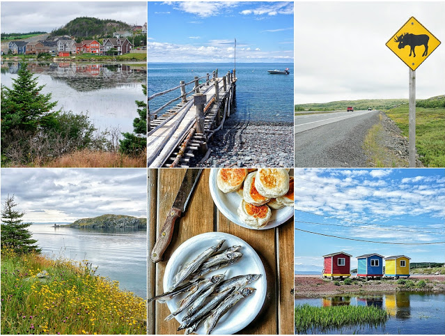 3 days in the Avalon Penisula, Newfoundland's East coast (via The Cutlery Chronicles)