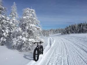 Western Newfoundland's Top 10 Winter Adventures (via Outdoors and on the Go)