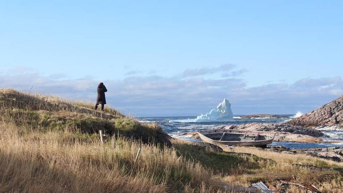 Newfoundland and Labrador: Where to stay, shop and explore this summer (via The Globe and Mail)